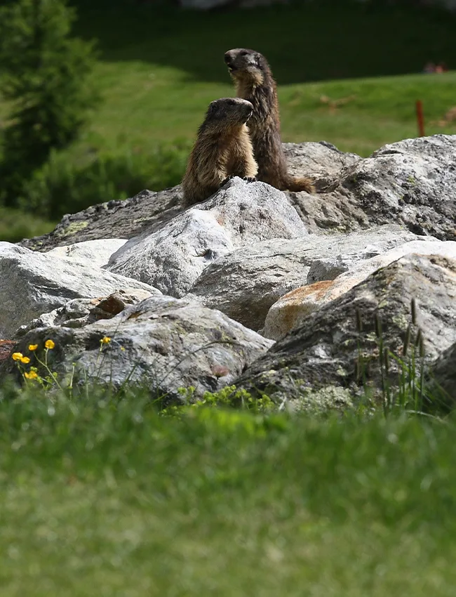 Alla scoperta dei parchi naturali