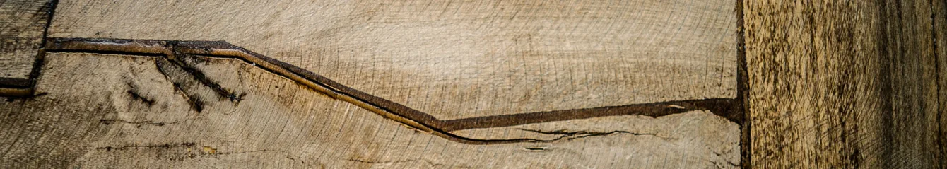 Elemento Legno Elemento Legno